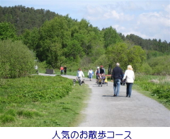 人気のお散歩コース