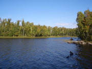 ���������i